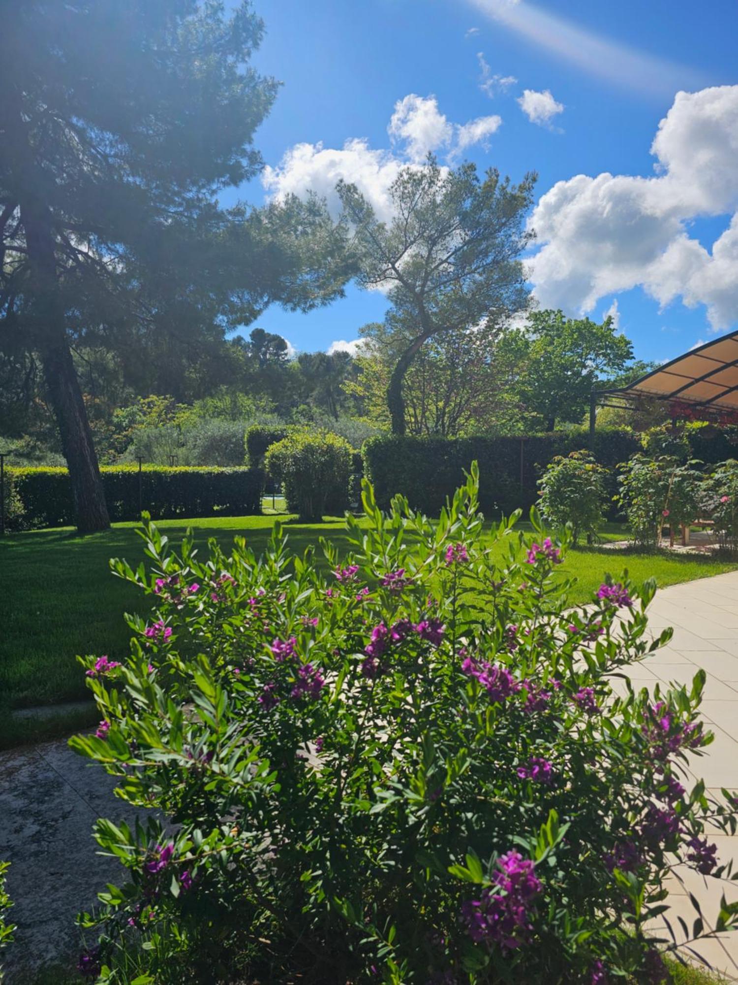 Monacelli Bed & Breakfast *